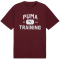 PUMA Graphics Logo Relaxed Trainingsshirt Herren