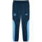 PUMA Manchester City FC ftblNRGY+ Trainingshose Herren 33 - marine blue/blazing blue M