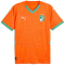 PUMA Elfenbeinküste Heimtrikot 2025 Herren 01 - rickie orange/jade frost L