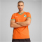 PUMA Elfenbeinküste Heimtrikot 2025 Herren 01 - rickie orange/jade frost L