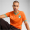 PUMA Elfenbeinküste Heimtrikot 2025 Herren 01 - rickie orange/jade frost L