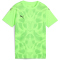PUMA teamUltimate Trikot Kinder 20 - green glare/puma black 128