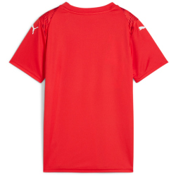 PUMA teamUltimate Trikot Kinder 01 - PUMA red-PUMA white 128