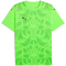 PUMA teamUltimate Trikot Herren 20 - green glare/puma black M