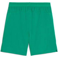 PUMA teamCUP Shorts Herren 05 - sport green/puma white S