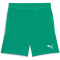 PUMA teamCUP Shorts Herren 05 - sport green/puma white S