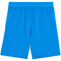 PUMA teamCUP Shorts Herren 02 - electro royal/puma white S