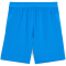 PUMA teamCUP Shorts Herren 02 - electro royal/puma white S
