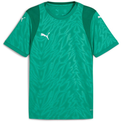 PUMA teamCUP Trikot Herren 05 - sport green/puma...
