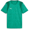 PUMA teamCUP Trikot Herren 05 - sport green/puma white/power green S