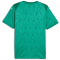 PUMA teamCUP Trikot Herren 05 - sport green/puma white/power green S