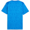 PUMA teamCUP Trikot Herren 02 - electro royal/puma white/puma team royal S