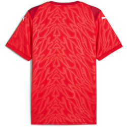 PUMA teamCUP Trikot Herren 01 - PUMA red/PUMA white/fast...