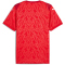 PUMA teamCUP Trikot Herren 01 - PUMA red/PUMA white/fast red S