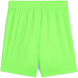 PUMA teamGOAL Shorts Kinder 20 - green glare/puma black 128