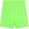 PUMA teamGOAL Shorts Kinder 20 - green glare/puma black 164