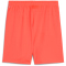PUMA teamGOAL Shorts Herren 38 - neon sun-puma black S