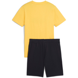 PUMA Essentials 2 Color No. 1 Logo T-Shirt & Shorts...