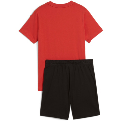 PUMA Essentials 2 Color No. 1 Logo T-Shirt & Shorts...