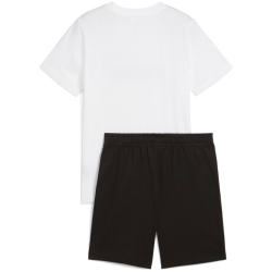 PUMA Essentials 2 Color No. 1 Logo T-Shirt & Shorts...