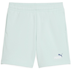 PUMA Essentials 2 Color No. 1 Logo French Terry Sweatshorts Jungen 50 - peaceful blue 176