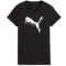 PUMA Essentials Metallic T-Shirt Damen 01 - PUMA black/metallic silver XL