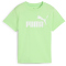 PUMA Essentials No. 1 Logo T-Shirt Jungen 49 - spring fern 152