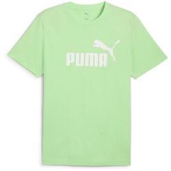 PUMA Essentials No. 1 Logo T-Shirt Herren 49 - spring fern L