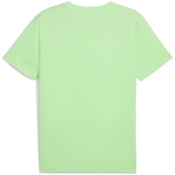 PUMA Essentials No. 1 Logo T-Shirt Herren 49 - spring fern L