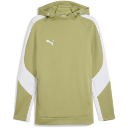 PUMA teamEvostripe Hoodie Herren 40 - calming green/puma...