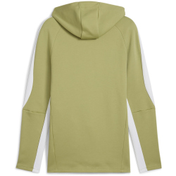 PUMA teamEvostripe Hoodie Herren 40 - calming green/puma...
