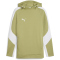 PUMA teamEvostripe Hoodie Herren 40 - calming green/puma silver/puma white S