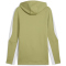 PUMA teamEvostripe Hoodie Herren 40 - calming green/puma silver/puma white S