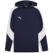 PUMA teamEvostripe Hoodie Herren 06 - PUMA navy/PUMA silver/PUMA white S
