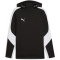 PUMA teamEvostripe Hoodie Herren 03 - PUMA black-PUMA silver-PUMA white S