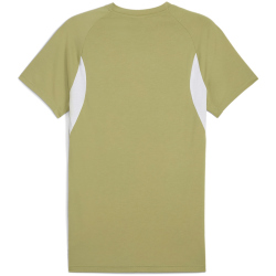 PUMA teamEvostripe T-Shirt Herren 40 - calming green/puma...