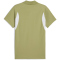 PUMA teamEvostripe Poloshirt Herren 40 - calming green/puma silver/puma white S