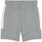 PUMA teamEvostripe Shorts Herren 33 - medium gray heather/puma silver/puma white S