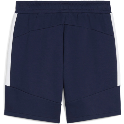 PUMA teamEvostripe Shorts Herren 06 - PUMA navy/PUMA...