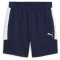 PUMA teamEvostripe Shorts Herren 06 - PUMA navy/PUMA silver/PUMA white S