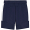 PUMA teamEvostripe Shorts Herren 06 - PUMA navy/PUMA silver/PUMA white S