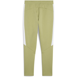 PUMA teamEvostripe Trainingshose Herren 40 - calming...