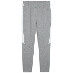 PUMA teamEvostripe Trainingshose Herren 33 - medium gray heather/puma silver/puma white L