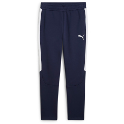 PUMA teamEvostripe Trainingshose Herren 06 - PUMA...