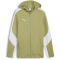 PUMA teamEvostripe Kapuzenjacke Herren 40 - calming green/puma silver/puma white S