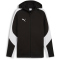 PUMA teamEvostripe Kapuzenjacke Herren 03 - PUMA black-PUMA silver-PUMA white S