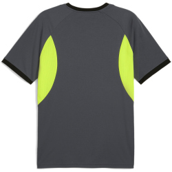 PUMA IndividualLIGA Graphic Trikot Herren 08 - galactic...