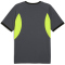 PUMA IndividualLIGA Graphic Trikot Herren 08 - galactic gray/yellow alert S