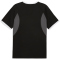 PUMA IndividualLIGA Graphic Trikot Herren 03 - PUMA black-PUMA white-shadow gray XXL