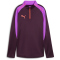 PUMA IndividualBLAZE 1/4-Zip Trainings-Top Damen 07 - midnight plum XS